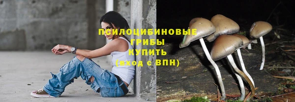 МДПВ Абинск