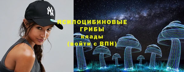 МДПВ Абинск