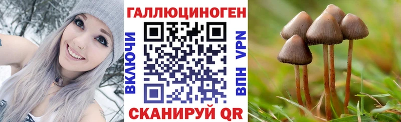 Псилоцибиновые грибы Magic Shrooms наркота Ишимбай
